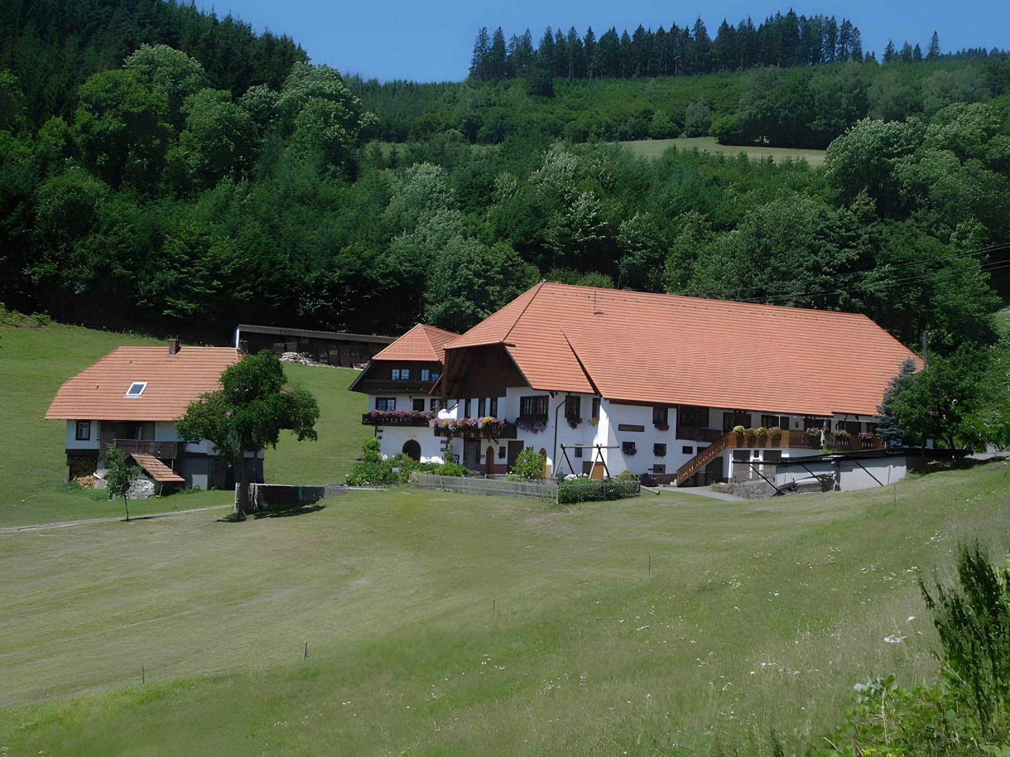 Uhlhof Leilighet Neuenbach Eksteriør bilde