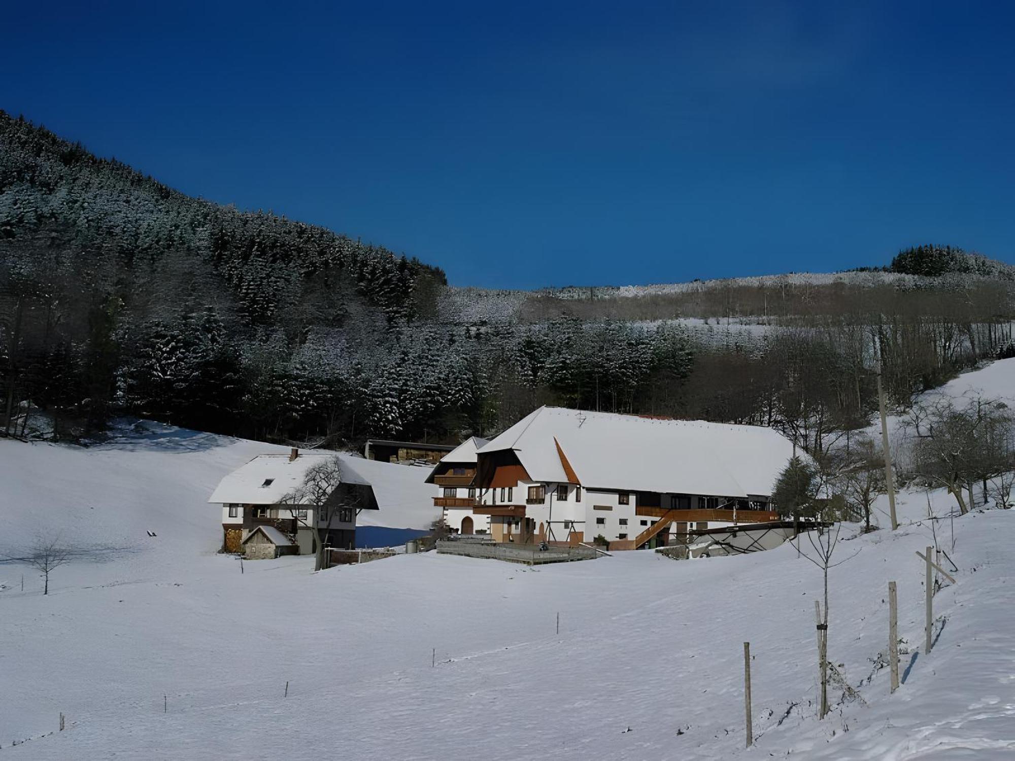 Uhlhof Leilighet Neuenbach Eksteriør bilde